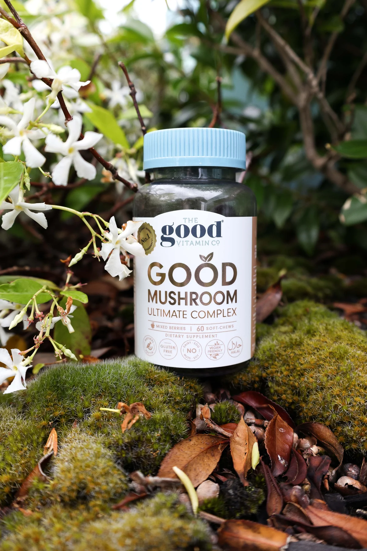 Are Mushrooms Good for the Heart?