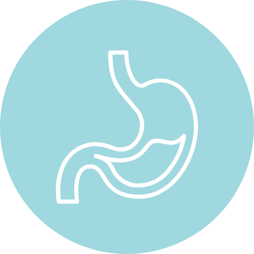 Digestive Health Supplements NZ