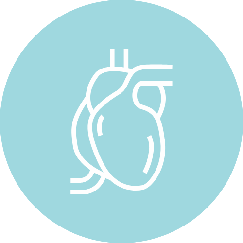 Joints, Heart And Liver Care Supplements NZ