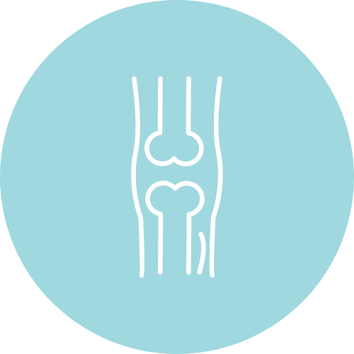 Bone Health Supplements NZ